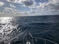 Great day of scuba diving in Key Largo with Rainbow Reef on snapper ledge tropical serenity 2021 03 16 r10801 1