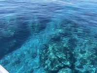Great day of scuba diving in Key Largo with Rainbow Reef on spanish anchor tropical explorer 2021 03 23 r10832 1