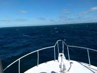 Great day of scuba diving in Key Largo with Rainbow Reef on spanish anchor tropical serenity 2021 03 07 r10771 1