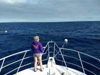 Great day of scuba diving in Key Largo with Rainbow Reef on spiegel grove tropical adventure 2021 03 22 r10824 1