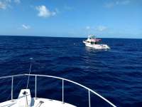Great day of scuba diving in Key Largo with Rainbow Reef on spiegel grove tropical destiny 2021 03 03 r10759 1