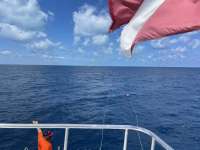 Great day of scuba diving in Key Largo with Rainbow Reef on spiegel grove tropical destiny 2021 03 15 r10795 1