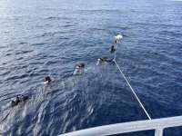 Great day of scuba diving in Key Largo with Rainbow Reef on spiegel grove tropical destiny 2021 03 29 r10849 1