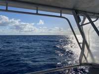 Great day of scuba diving in Key Largo with Rainbow Reef on spiegel grove tropical odyssey 2021 03 16 r10800 1