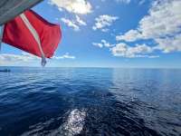 Great day of scuba diving in Key Largo with Rainbow Reef on uscgc duane tropical destiny 2021 03 23 r10829 1