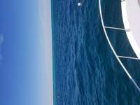 Great day of scuba diving in Key Largo with Rainbow Reef on winch hole santana 2021 03 05 r10767 1