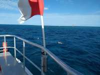 Great day of scuba diving in Key Largo with Rainbow Reef on winch hole tropical serenity 2021 03 06 r10770 1
