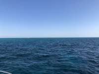 Great day of scuba diving in Key Largo with Rainbow Reef on winch hole tropical serenity 2021 03 20 r10806 1