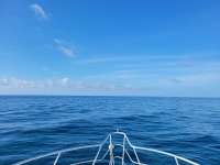 Great day of scuba diving in Key Largo with Rainbow Reef on benwood wreck tropical adventure 2021 05 30 r11183 1