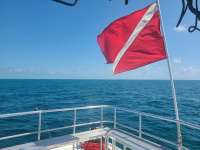 Great day of scuba diving in Key Largo with Rainbow Reef on benwood wreck tropical destiny 2021 05 04 r11067 1