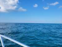 Great day of scuba diving in Key Largo with Rainbow Reef on benwood wreck tropical explorer 2021 05 28 r11160 1