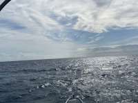 Great day of scuba diving in Key Largo with Rainbow Reef on benwood wreck tropical serenity 2021 05 16 r11131 1