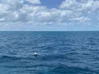 Great day of scuba diving in Key Largo with Rainbow Reef on benwood wreck tropical serenity 2021 05 17 r11139 1