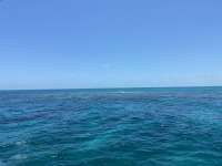 Great day of scuba diving in Key Largo with Rainbow Reef on christ statue tropical destiny 2021 05 05 r11076 1