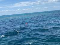 Great day of scuba diving in Key Largo with Rainbow Reef on christ statue tropical serenity 2021 05 16 r11133 1