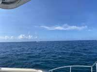 Great day of scuba diving in Key Largo with Rainbow Reef on christmastree cave santana 2021 05 01 r11046 1