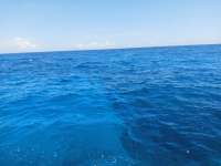 Great day of scuba diving in Key Largo with Rainbow Reef on christmastree cave tropical odyssey 2021 05 01 r11052 1