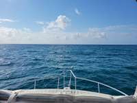 Great day of scuba diving in Key Largo with Rainbow Reef on christmastree cave tropical serenity 2021 05 04 r11064 1