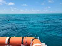Great day of scuba diving in Key Largo with Rainbow Reef on christmastree cave tropical serenity 2021 05 05 r11079 1