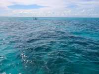 Great day of scuba diving in Key Largo with Rainbow Reef on city of washington tropical legend 2021 05 31 r11193 1