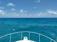 Great day of scuba diving in Key Largo with Rainbow Reef on conch ledge tropical destiny 2021 05 24 r11146 1