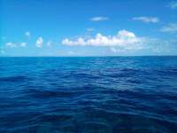 Great day of scuba diving in Key Largo with Rainbow Reef on conch ledge tropical explorer 2021 05 29 r11165 1