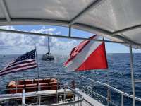 Great day of scuba diving in Key Largo with Rainbow Reef on drift molasses tropical serenity 2021 05 29 r11173 1