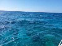 Great day of scuba diving in Key Largo with Rainbow Reef on eagle ray alley santana 2021 05 02 r11055 1