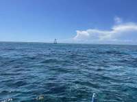 Great day of scuba diving in Key Largo with Rainbow Reef on eagle ray alley tropical adventure 2021 05 10 r11104 1