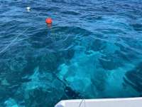 Great day of scuba diving in Key Largo with Rainbow Reef on eagle ray alley tropical adventure 2021 05 10 r11104 2