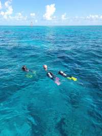 Great day of scuba diving in Key Largo with Rainbow Reef on eagle ray alley tropical legend 2021 05 31 r11190 2