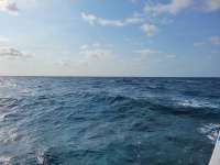 Great day of scuba diving in Key Largo with Rainbow Reef on eagle ray alley tropical serenity 2021 05 03 r11061 1