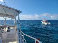 Great day of scuba diving in Key Largo with Rainbow Reef on eagle ray alley tropical serenity 2021 05 10 r11099 1