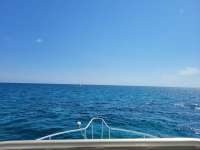 Great day of scuba diving in Key Largo with Rainbow Reef on french reef santana 2021 05 07 r11089 1