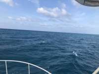 Great day of scuba diving in Key Largo with Rainbow Reef on french twist santana 2021 05 03 r11060 1