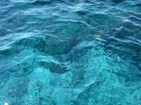Great day of scuba diving in Key Largo with Rainbow Reef on hole in the wall tropical legend 2021 05 08 r11091 1