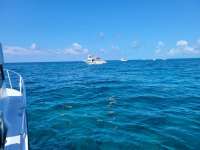 Great day of scuba diving in Key Largo with Rainbow Reef on molasses deep tropical explorer 2021 05 31 r11189 1