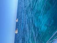Great day of scuba diving in Key Largo with Rainbow Reef on molasses reef tropical adventure 2021 05 05 r11074 1