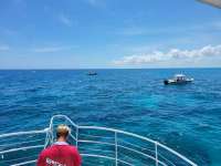 Great day of scuba diving in Key Largo with Rainbow Reef on molasses reef tropical legend 2021 05 01 r11051 1