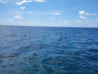 Great day of scuba diving in Key Largo with Rainbow Reef on molasses reef tropical legend 2021 05 15 r11125 1