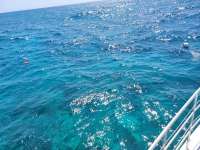 Great day of scuba diving in Key Largo with Rainbow Reef on molasses reef tropical legend 2021 05 24 r11143 1
