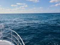 Great day of scuba diving in Key Largo with Rainbow Reef on molasses reef tropical legend 2021 05 26 r11150 1