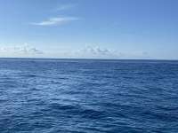 Great day of scuba diving in Key Largo with Rainbow Reef on molasses reef tropical serenity 2021 05 08 r11090 1