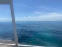 Great day of scuba diving in Key Largo with Rainbow Reef on north dry rocks tropical serenity 2021 05 12 r11116 1