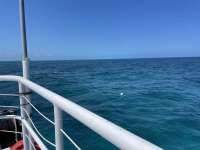 Great day of scuba diving in Key Largo with Rainbow Reef on north star tropical adventure 2021 05 04 r11071 1