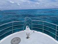 Great day of scuba diving in Key Largo with Rainbow Reef on north star tropical legend 2021 05 27 r11157 1
