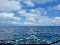 Great day of scuba diving in Key Largo with Rainbow Reef on pickles reef tropical adventure 2021 05 08 r11093 1