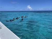 Great day of scuba diving in Key Largo with Rainbow Reef on sand island tropical adventure 2021 05 11 r11109 1