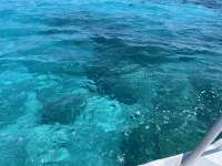 Great day of scuba diving in Key Largo with Rainbow Reef on sand island tropical adventure 2021 05 11 r11109 2