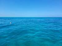 Great day of scuba diving in Key Largo with Rainbow Reef on snapper ledge santana 2021 05 11 r11110 1